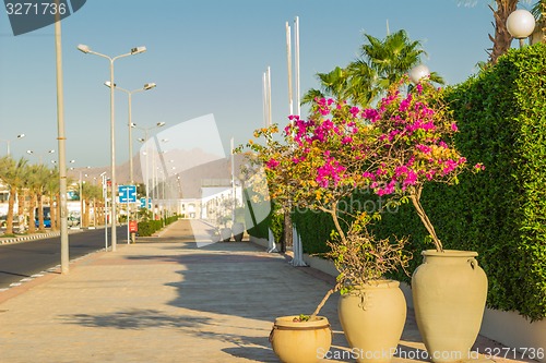 Image of landscape