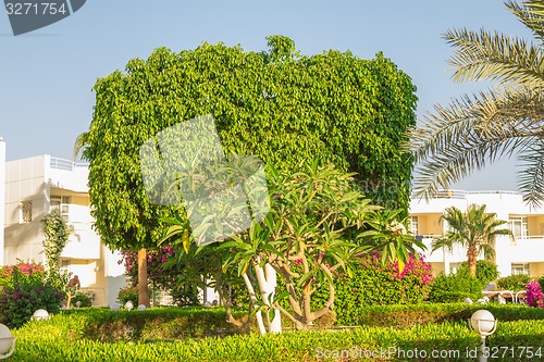 Image of landscape