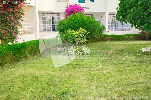 Image of landscape