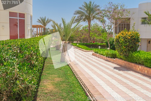Image of landscape