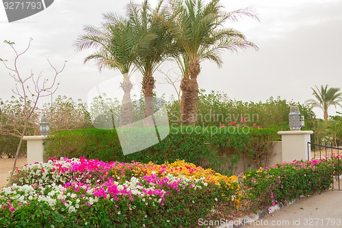 Image of landscape