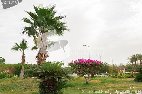 Image of landscape