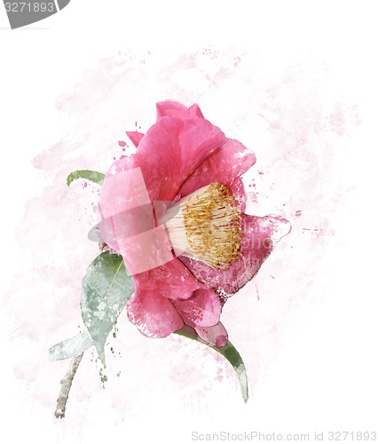 Image of Rose Watercolor