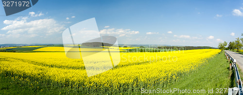 Image of Beautiful spring rural landscape