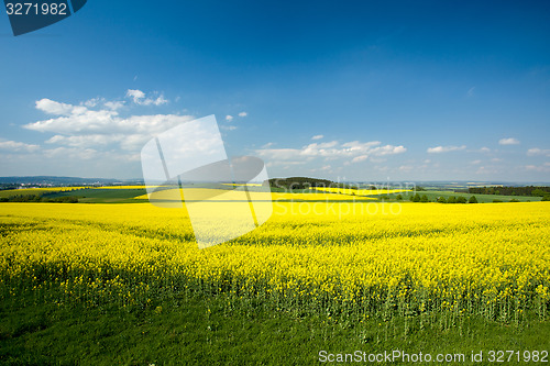 Image of Beautiful spring rural landscape