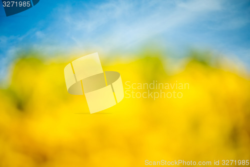 Image of spring natural background