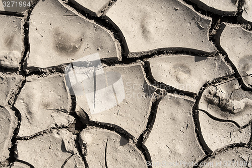 Image of grunge mud cracks texture