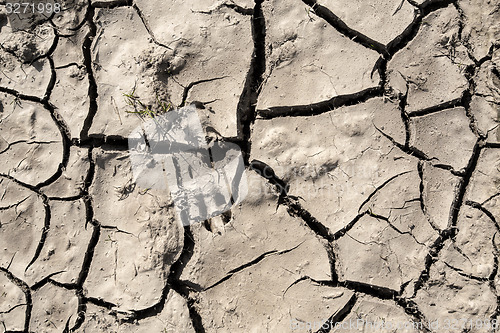 Image of grunge mud cracks texture