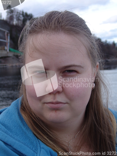 Image of Looking