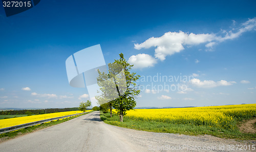 Image of Beautiful spring rural landscape