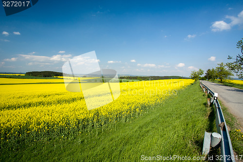 Image of Beautiful spring rural landscape