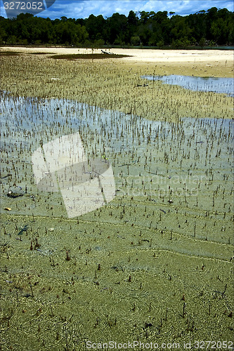 Image of  mamoko madagascar lagoon  and coastline 