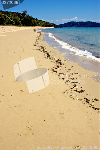 Image of seaweed and sand
