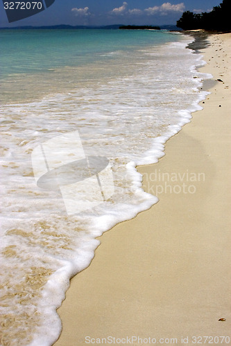 Image of nosy mamoko sea