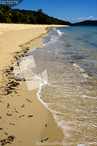 Image of lowtide and tree 