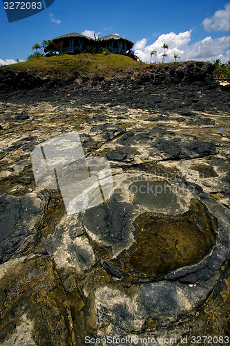 Image of stone in andilana beach