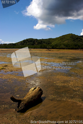 Image of sand and  branch