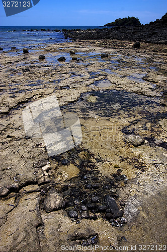 Image of rocky beach