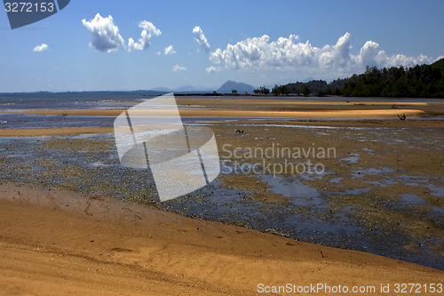 Image of  lokobe reserve madagascar