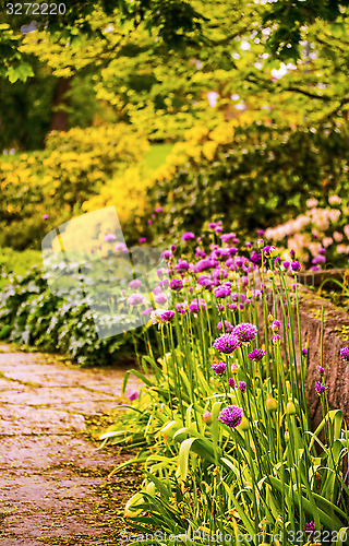 Image of Different flowers along a brick path