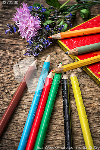 Image of colored pencils 