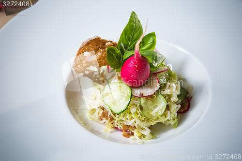 Image of Salad from cabbage, herbs, cucumber and radish in bowl.
