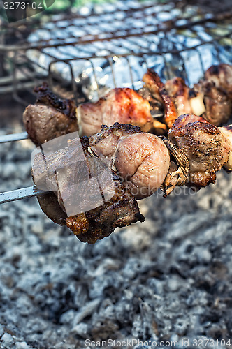 Image of barbecue at the picnic