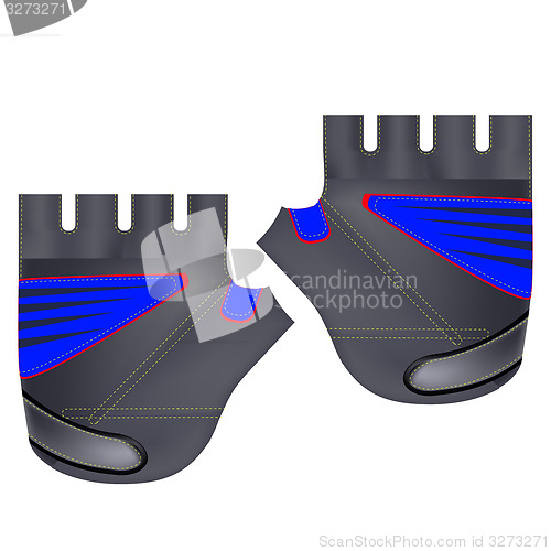 Image of Gloves for Sport