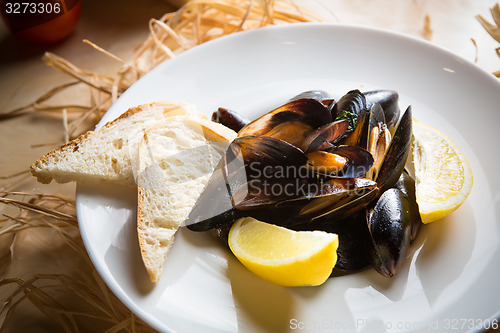 Image of mussels whith sauce of fresh tomatoes