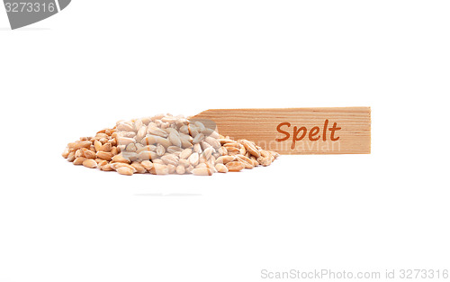 Image of Spelt on white