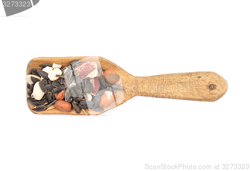 Image of Bird seed on shovel