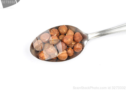 Image of Hazelnuts  on spoon