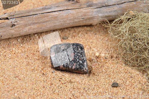 Image of Jasper on beach