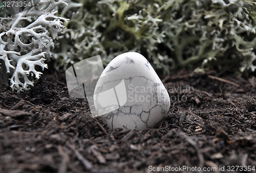 Image of Howlite on forest floor