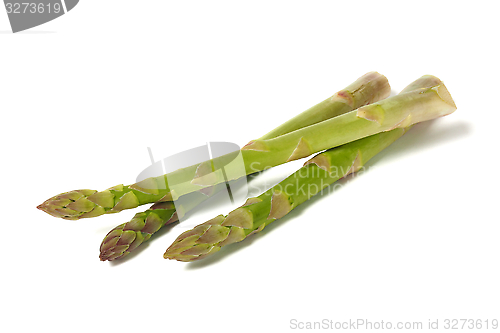 Image of Asparagus