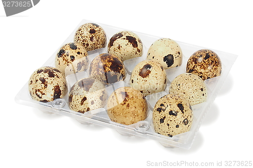 Image of Quail eggs