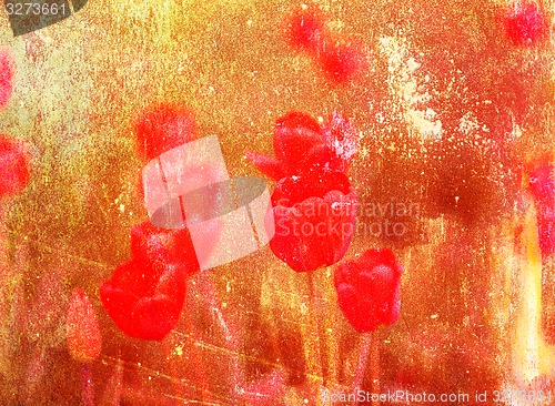 Image of Spring beautiful flowers tulips 