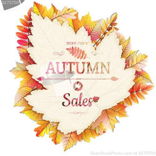 Image of Autumnal fallen leafs. EPS 10