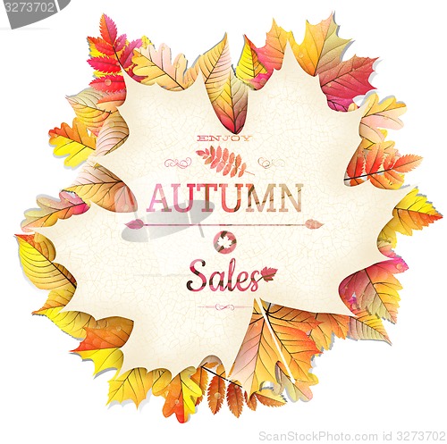 Image of Autumnal fallen leafs. EPS 10