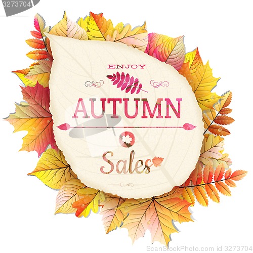 Image of Autumnal fallen leafs. EPS 10