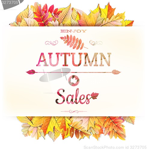 Image of Autumnal fallen leafs. EPS 10