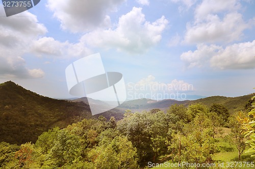 Image of jungle and the sea