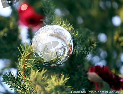 Image of Christmas tree 