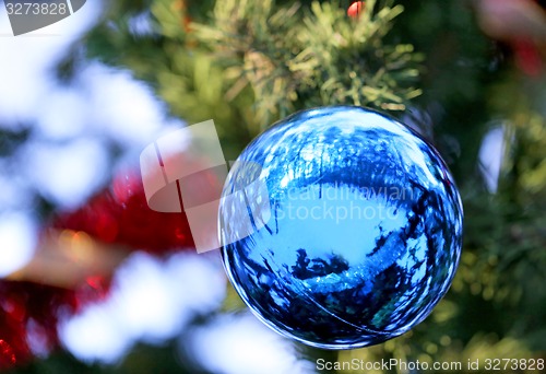 Image of Christmas tree 