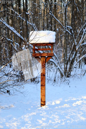 Image of Beautiful winter forest  