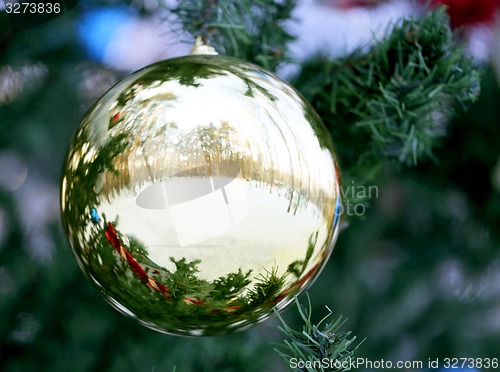 Image of Christmas tree 