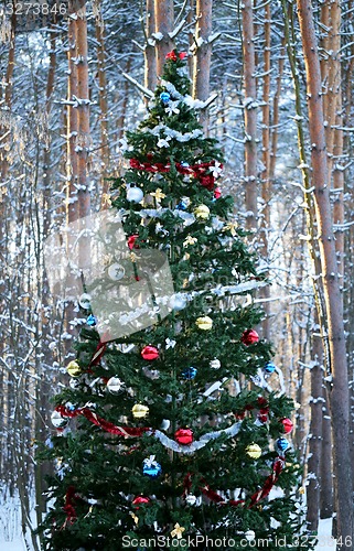 Image of Christmas tree 