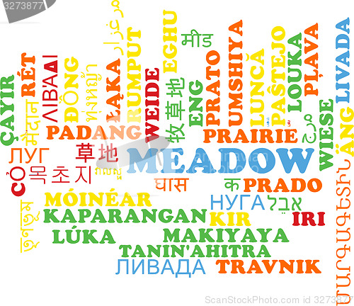 Image of Meadow multilanguage wordcloud background concept