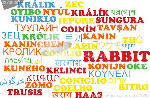 Image of Rabbit multilanguage wordcloud background concept