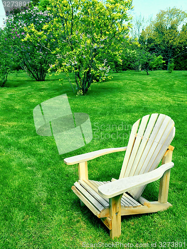 Image of Wooden chair in spring garden